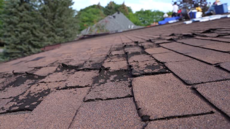 Best Skylight Installation and Repair  in Westvale, NY